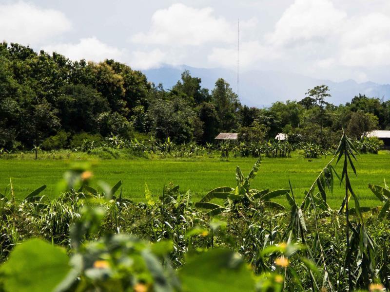 Bambuh Boutique Homestay (Adults Only) Chiang Rai Bagian luar foto