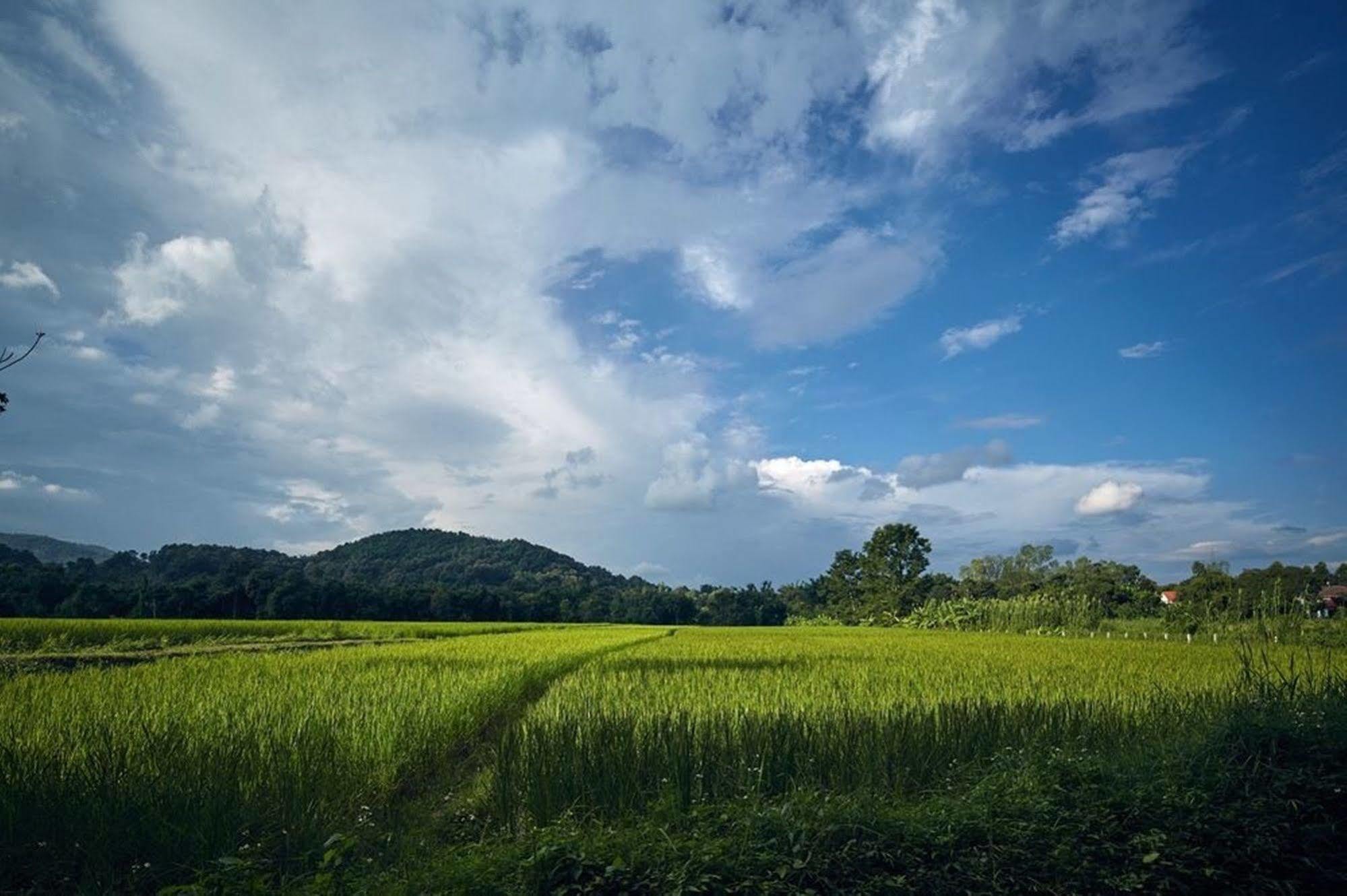 Bambuh Boutique Homestay (Adults Only) Chiang Rai Bagian luar foto