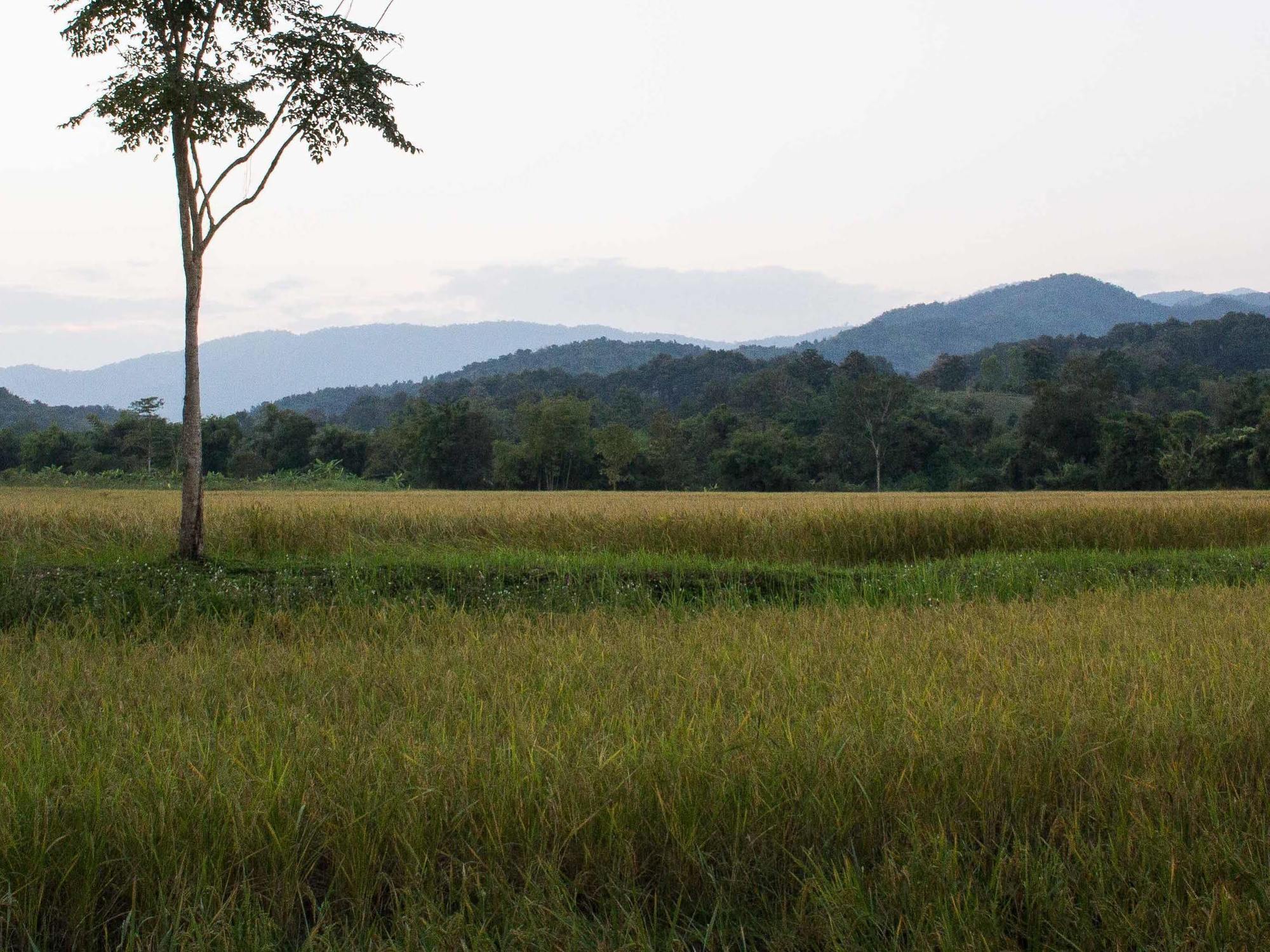 Bambuh Boutique Homestay (Adults Only) Chiang Rai Bagian luar foto