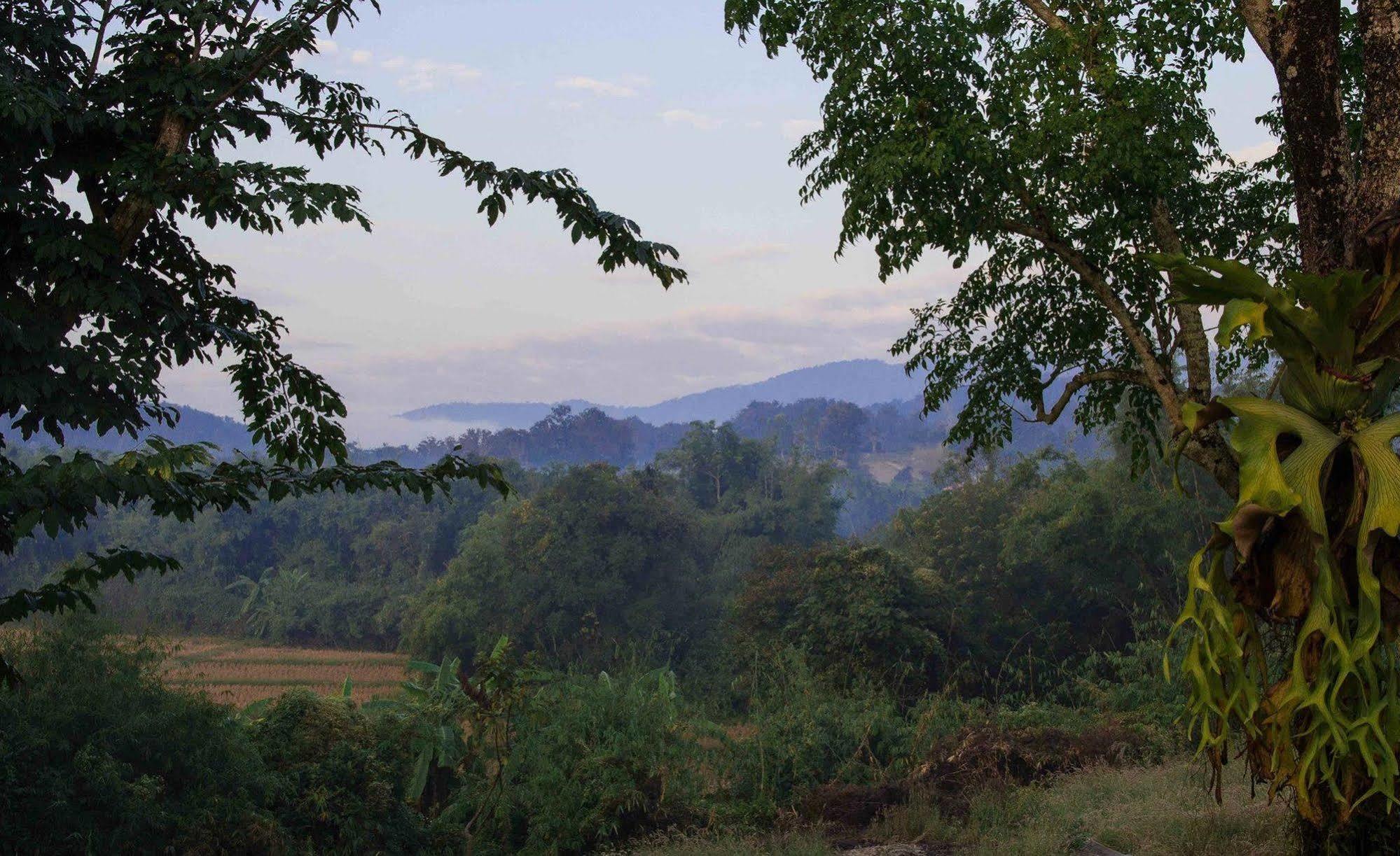 Bambuh Boutique Homestay (Adults Only) Chiang Rai Bagian luar foto